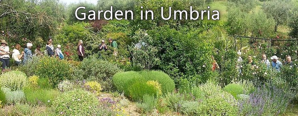 Garden in Umbria - a group of visitors to the garden in 2017 