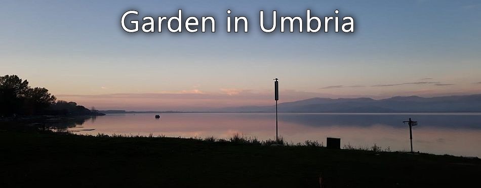 A Garden in Umbria