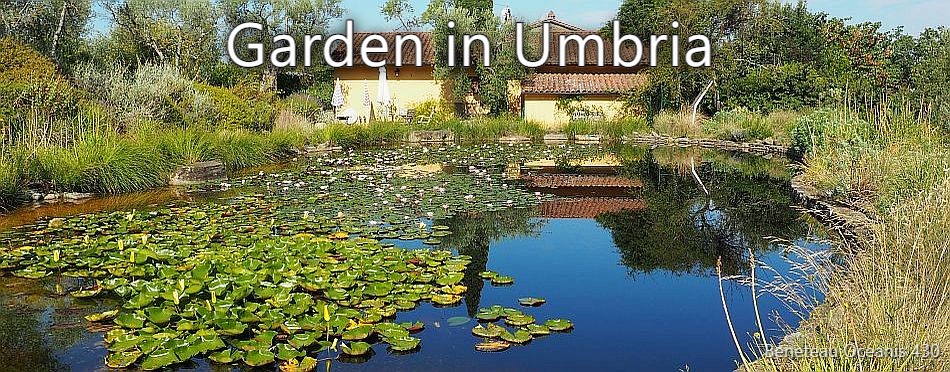 Garden in Umbria