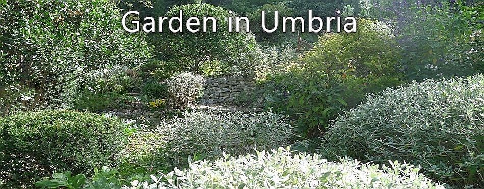 A Garden in Umbria