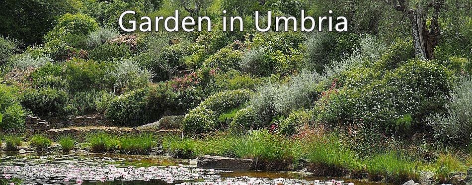 Garden in Umbria