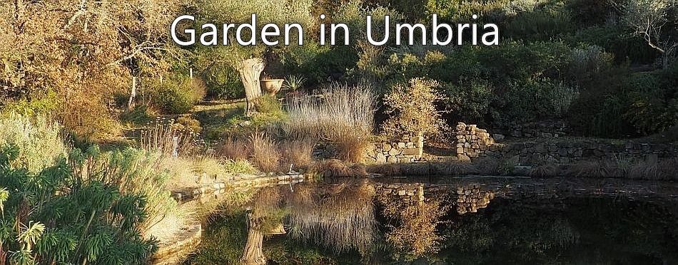 Garden in Umbria