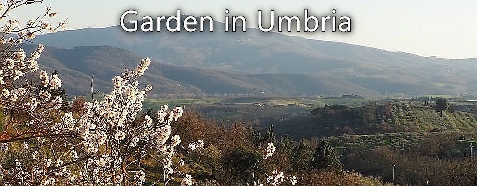 Garden in Umbria