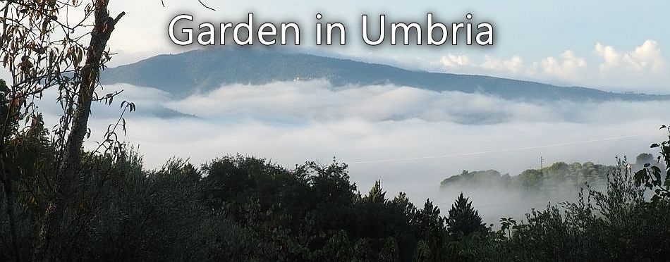 A Garden in Umbria