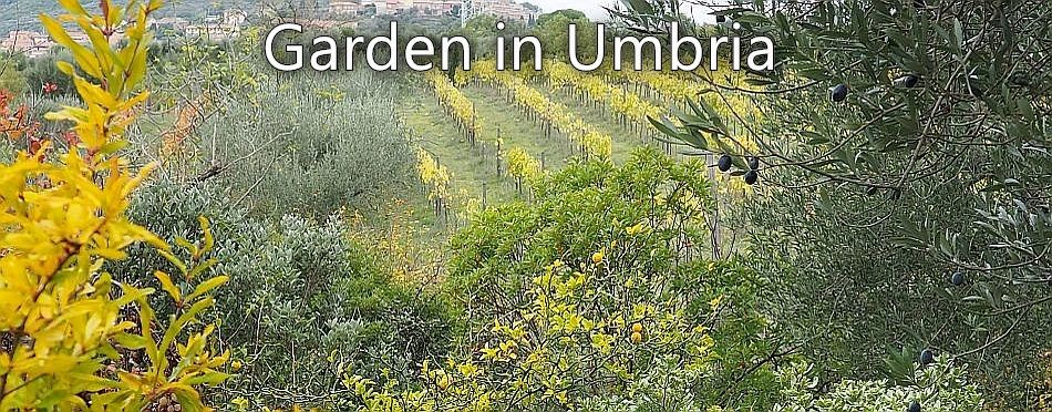 Garden in Umbria