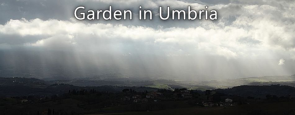 A Garden in Umbria