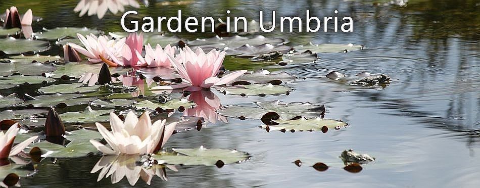 Garden in Umbria